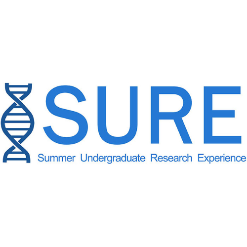 Cancer Research Immersion Summer Program logo