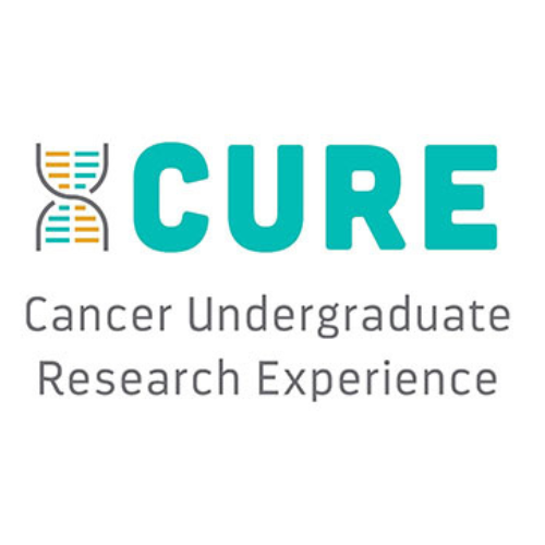 Cancer Undergraduate Research Experience logo